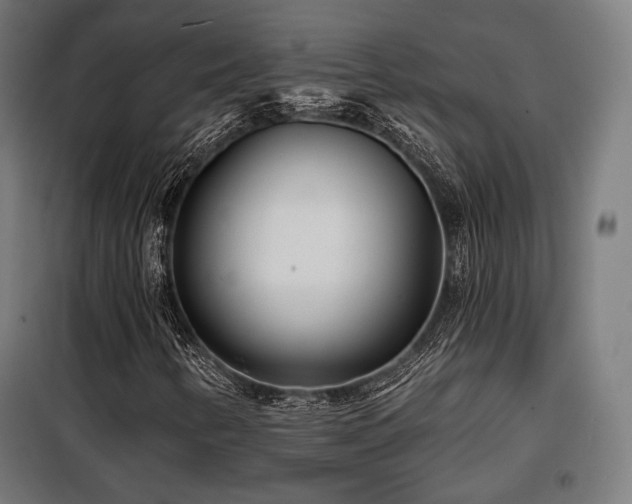X0000098111346200804041334