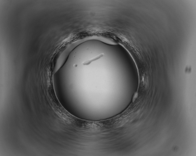 X0000098111348200804041334