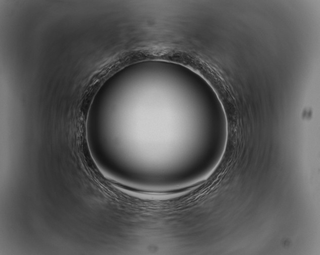 X0000098111349200804041334