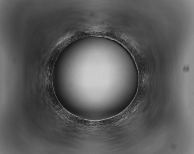 X0000098111350200804041334