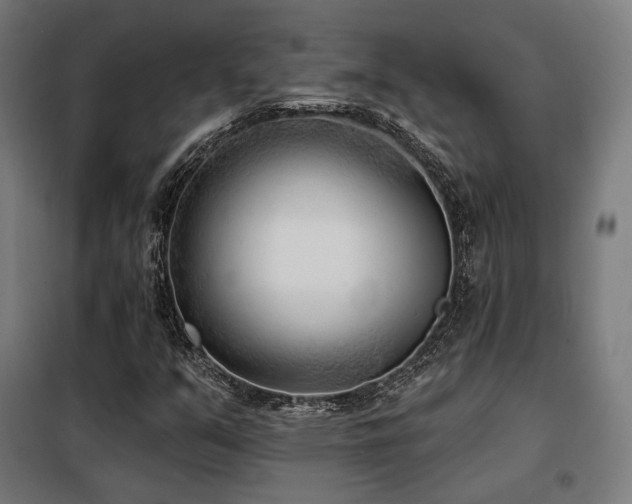 X0000098111351200804041334