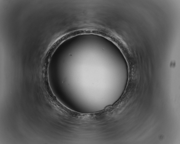 X0000098111352200804041334
