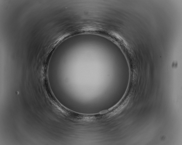 X0000098111353200804041334