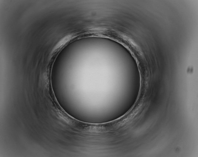 X0000098111354200804041334