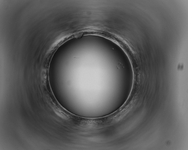 X0000098111355200804041334