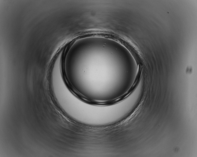 X0000098111357200804041334