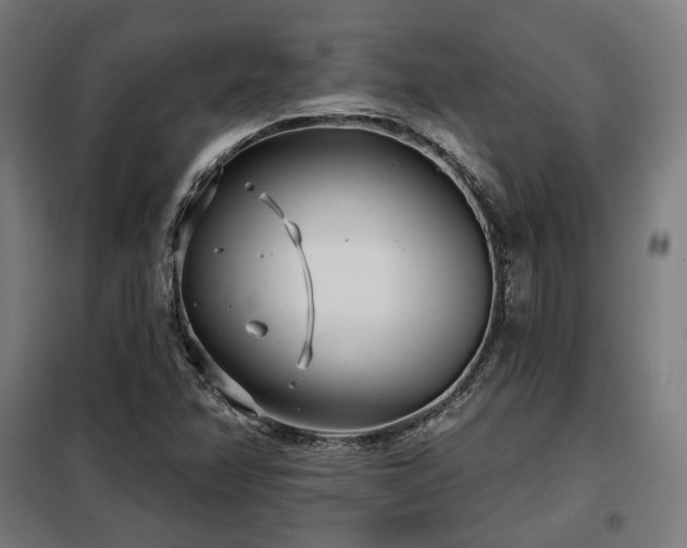 X0000098111358200804041334
