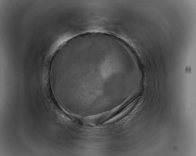 X0000098111359200804041334