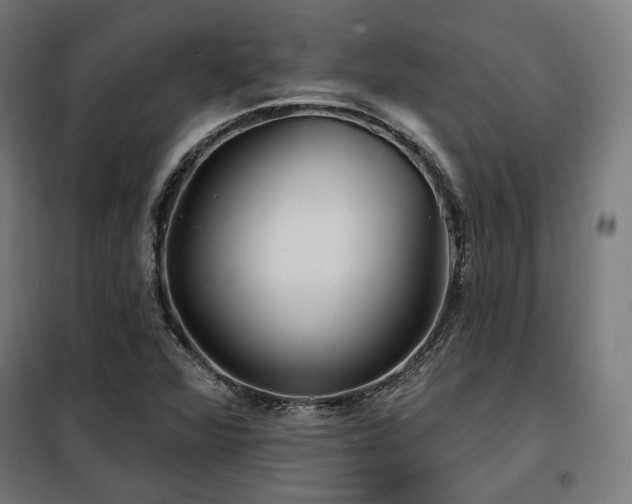 X0000098111360200804041334