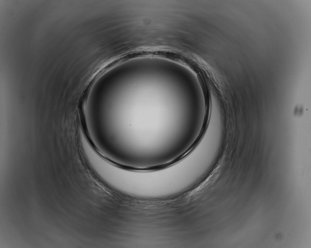 X0000098111361200804041334