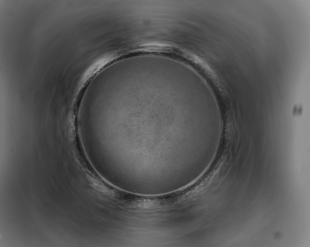 X0000098111362200804041334