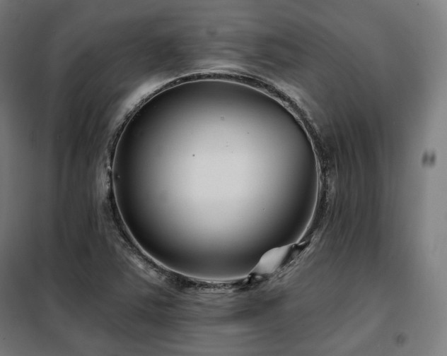 X0000098111363200804041334