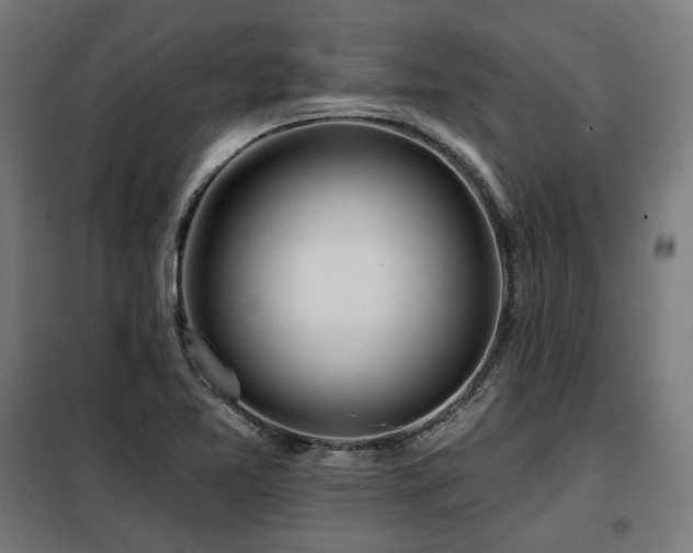 X0000098111365200804041334