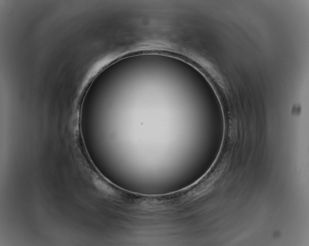 X0000098111366200804041334
