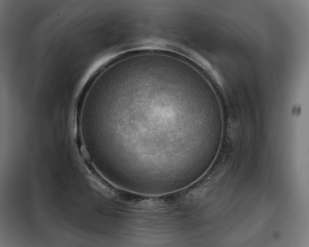 X0000098111368200804041334