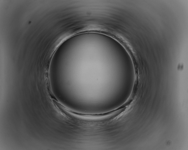 X0000098111369200804041334
