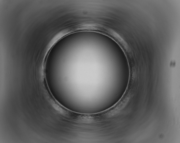 X0000098111370200804041334