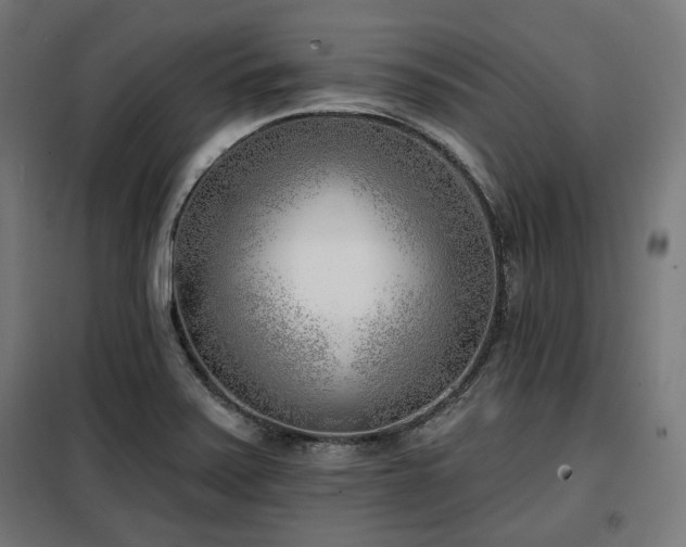 X0000098111371200804041334