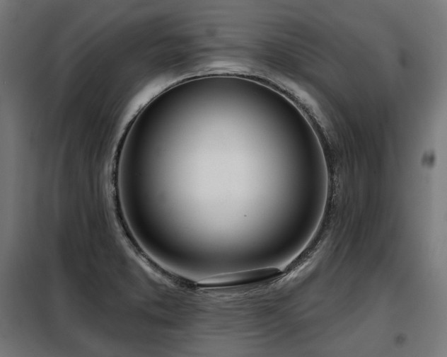 X0000098111373200804041334