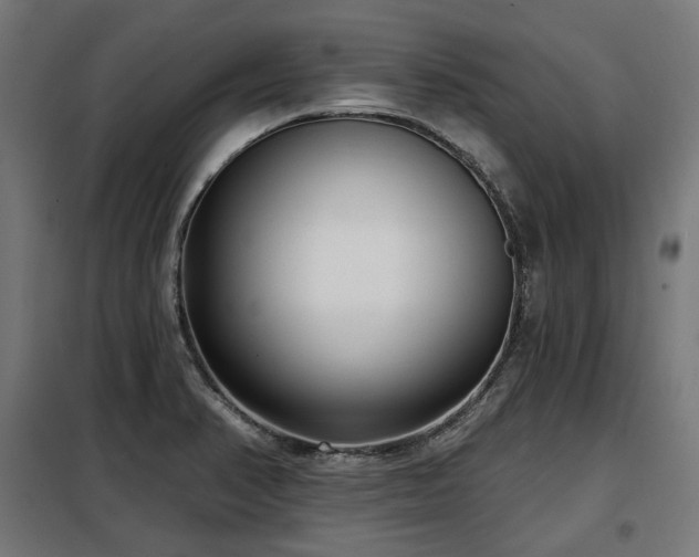 X0000098111374200804041334