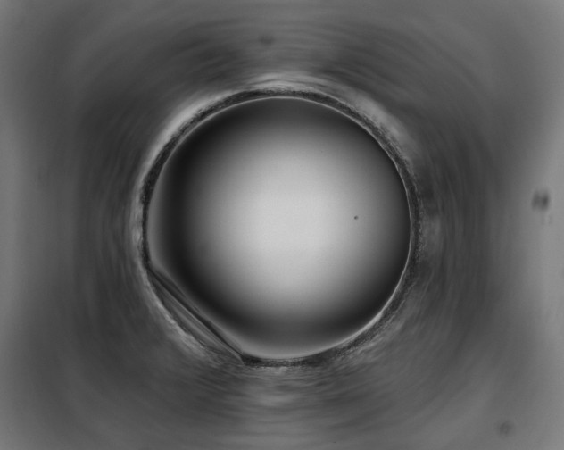 X0000098111376200804041334