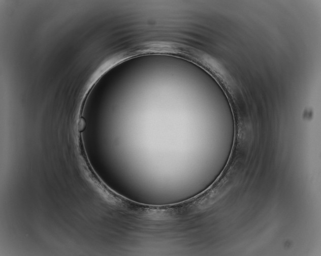 X0000098111378200804041334