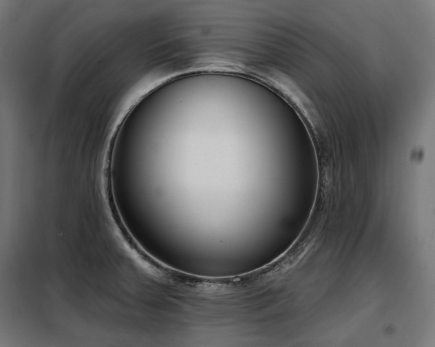 X0000098111379200804041334