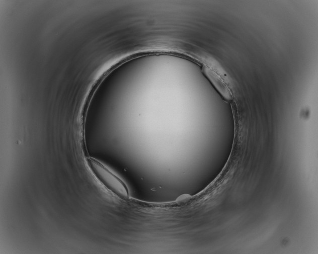 X0000098111380200804041334