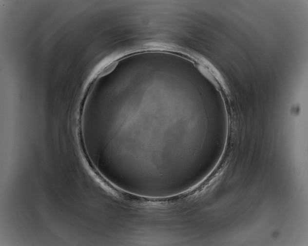 X0000098111381200804041334