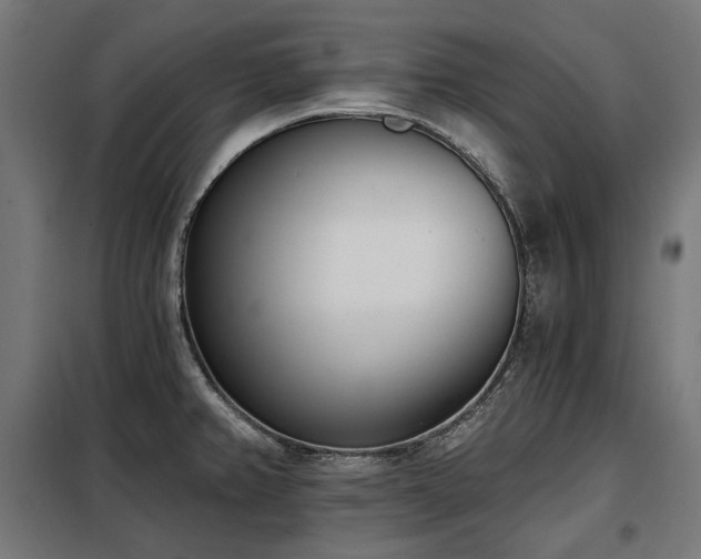 X0000098111382200804041334