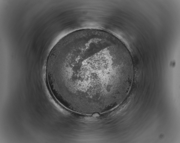 X0000098111383200804041334