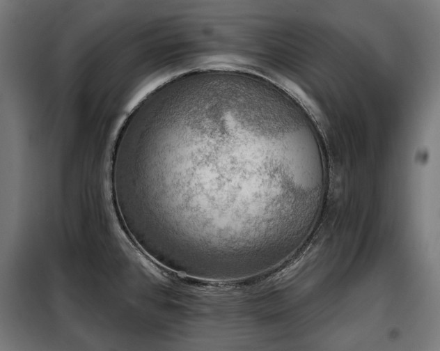 X0000098111384200804041334
