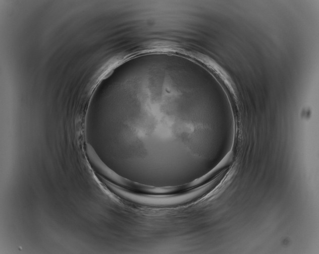 X0000098111385200804041334