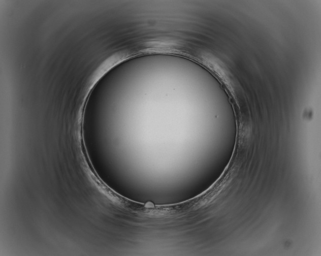 X0000098111386200804041334