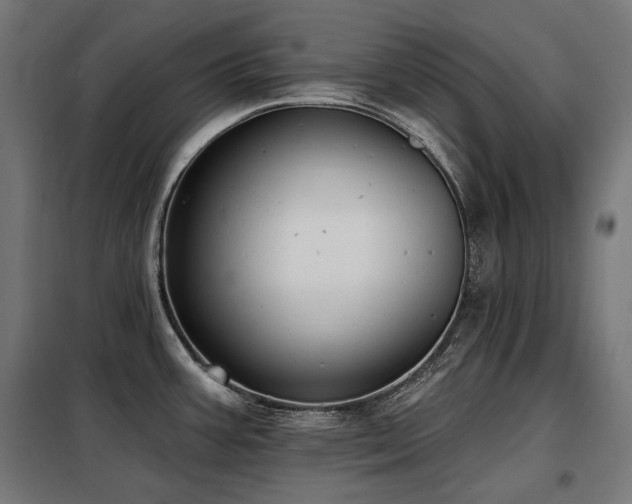 X0000098111387200804041333