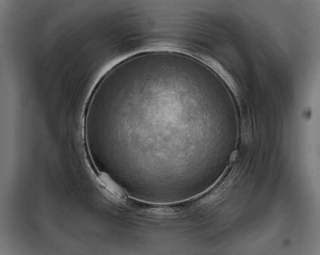 X0000098111388200804041333
