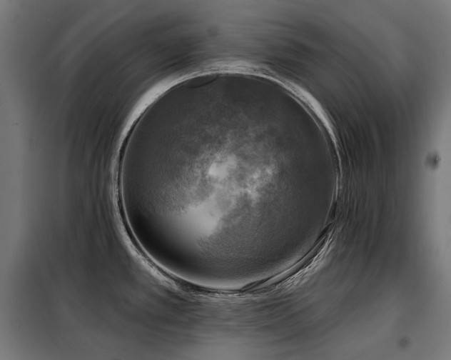 X0000098111389200804041333