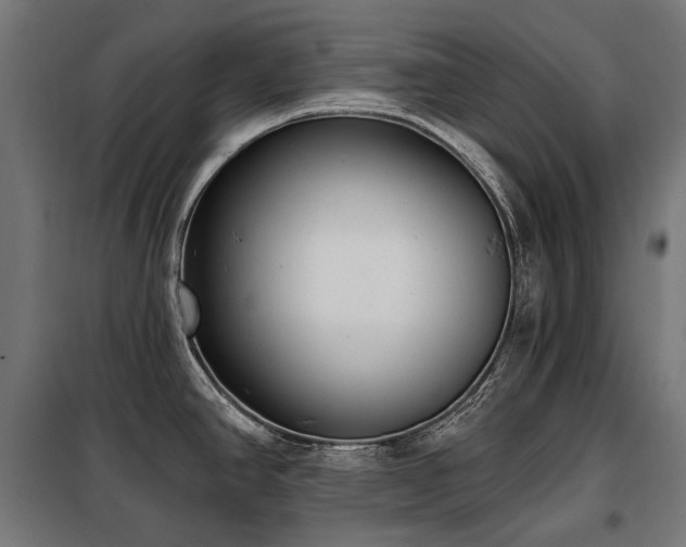 X0000098111390200804041333