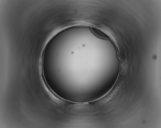 X0000098111391200804041333