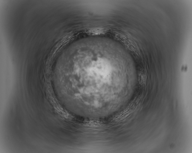 X0000098111393200804041333