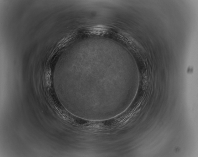 X0000098111394200804041333