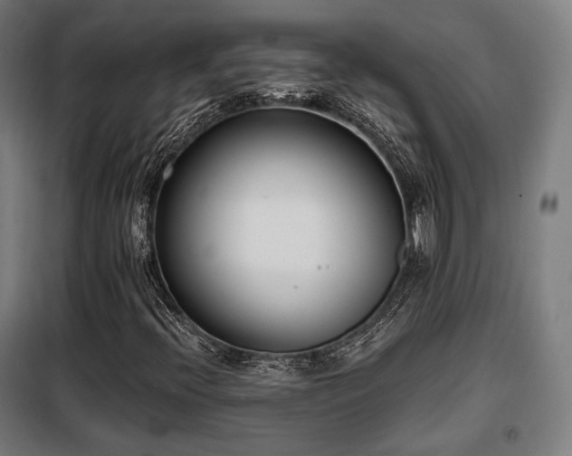 X0000098111396200804041333