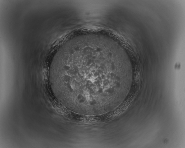 X0000098111397200804041333