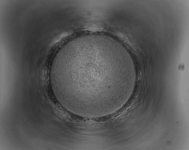 X0000098111398200804041333