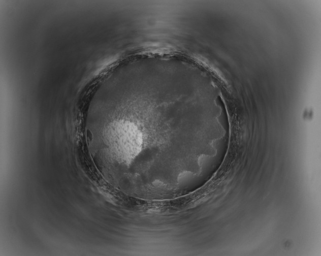 X0000098111399200804041333