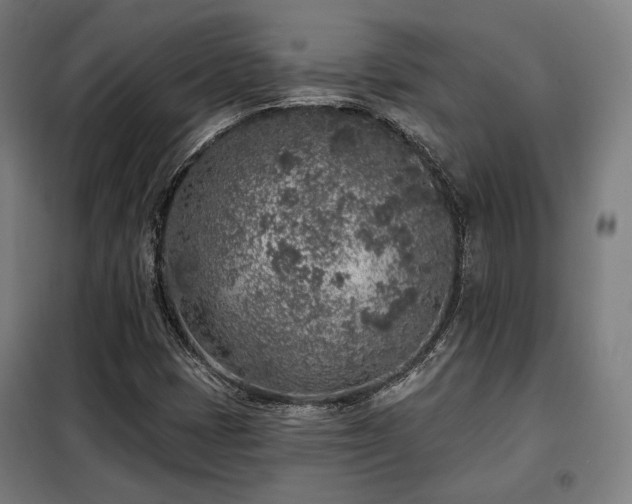 X0000098111401200804041333