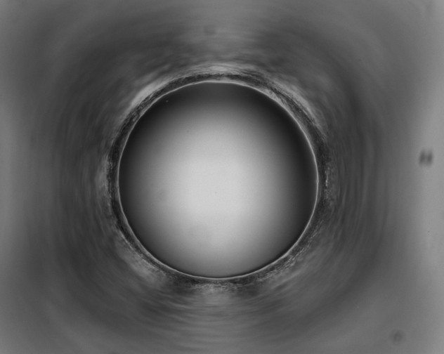 X0000098111404200804041333