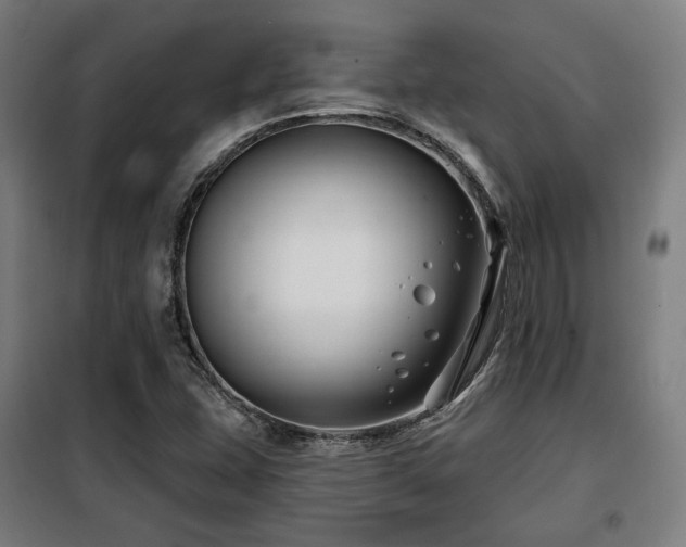 X0000098111407200804041333