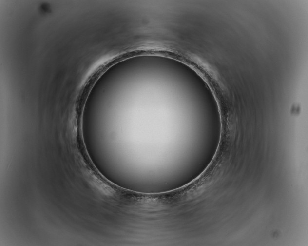 X0000098111408200804041333