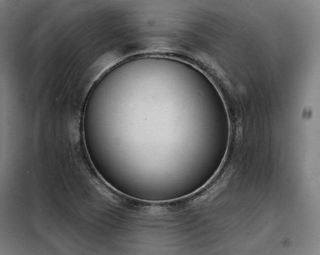 X0000098111409200804041333